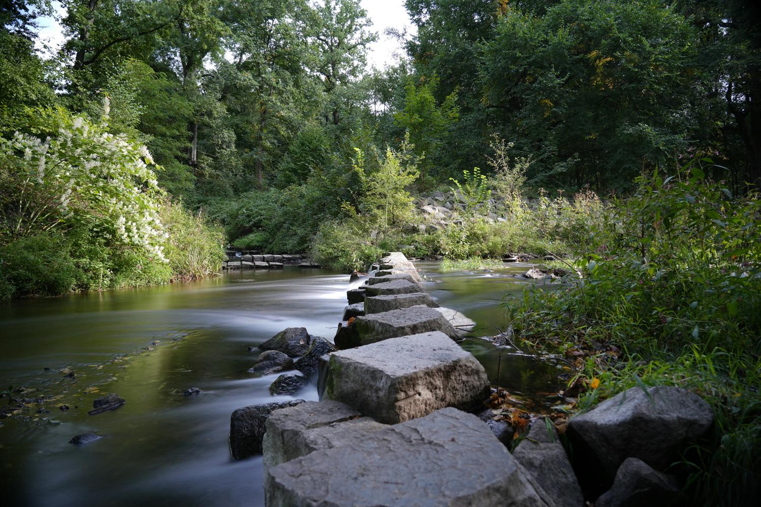 Building a Volunteer Engagement Funnel: From First Click to Committed Advocate